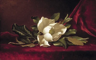 Die Magnolienblüte, 1888